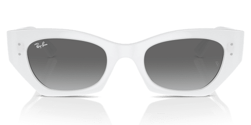 Ray-Ban 0RB4430