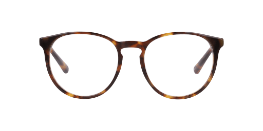 DbyD 0DB2143 férfi pantó alakú és havana színű szemüveg